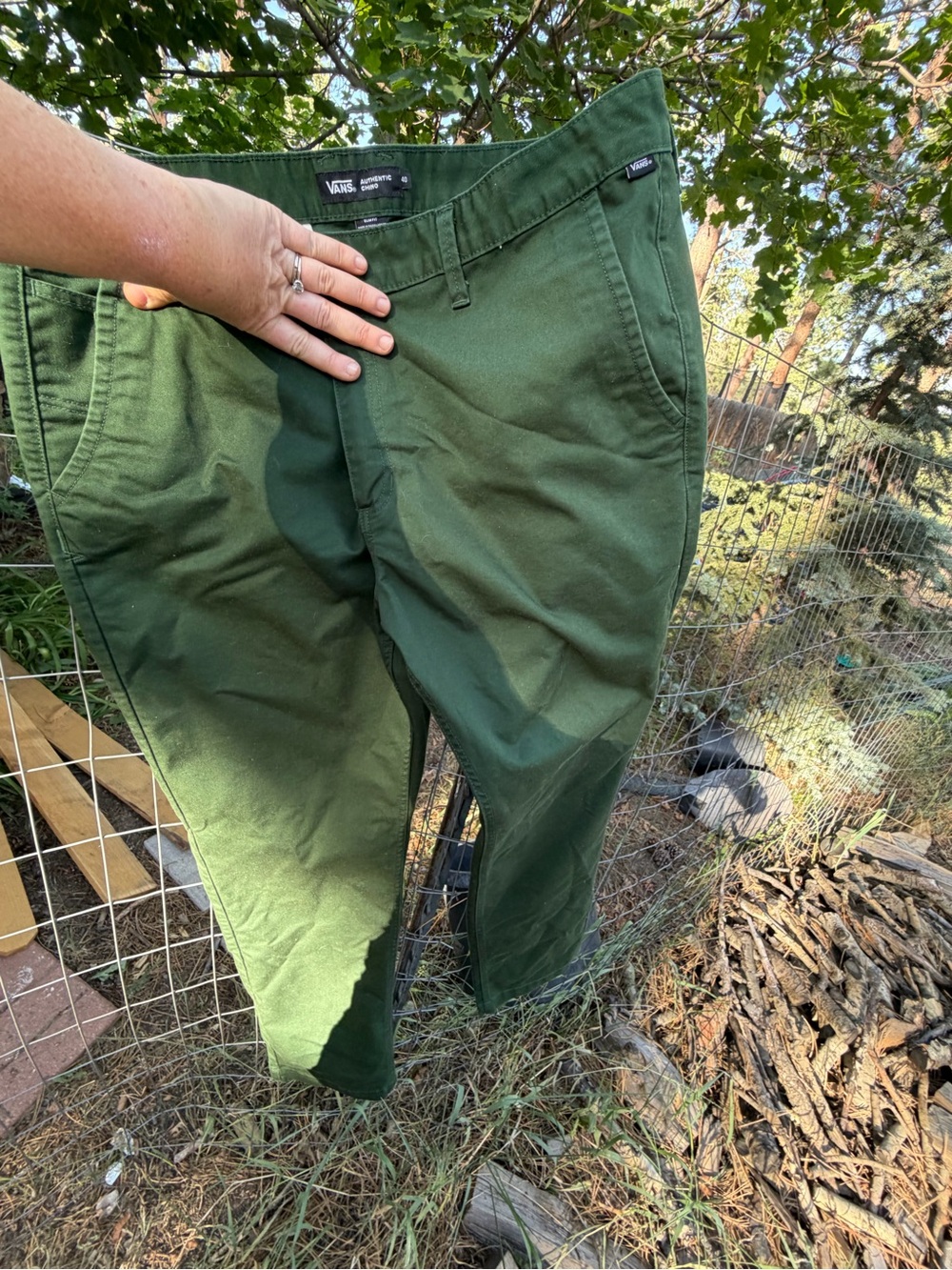 Vans Dark Green Authentic Chino Pants